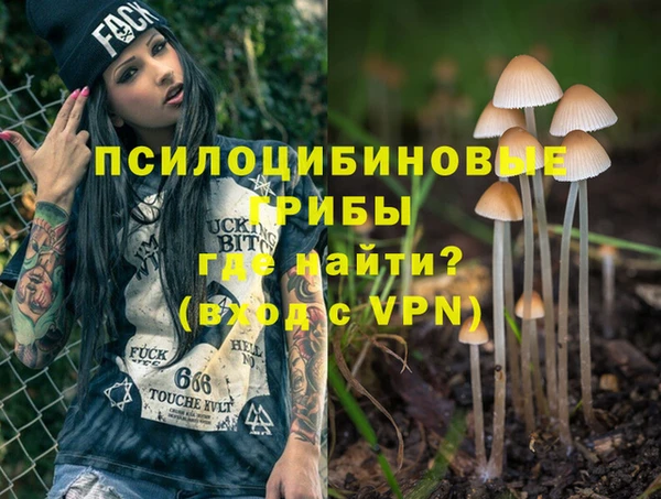 apvp Баксан