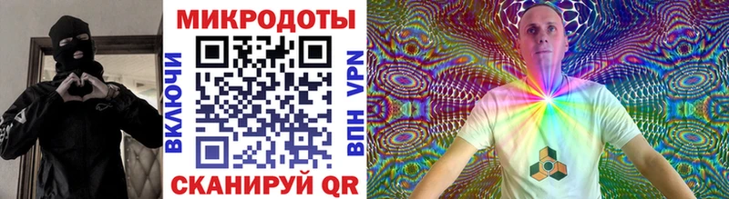 купить наркотик  Гаврилов-Ям  Псилоцибиновые грибы Psilocybe 